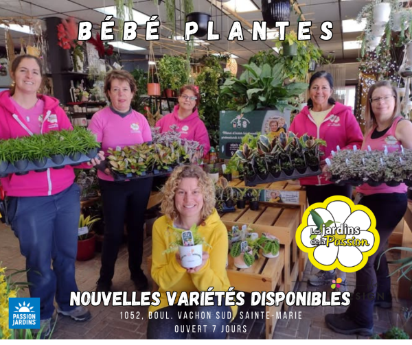 bébé plantes 2026 (1)
