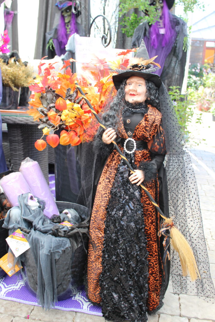 img 0648[1]