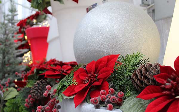 jardin de noel jardin de la passion