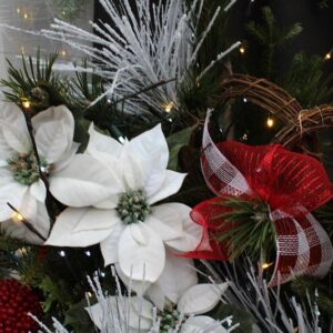 0.1 montage naturel avec boules rouges