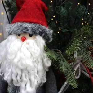 0.1 montage naturel avec père noël