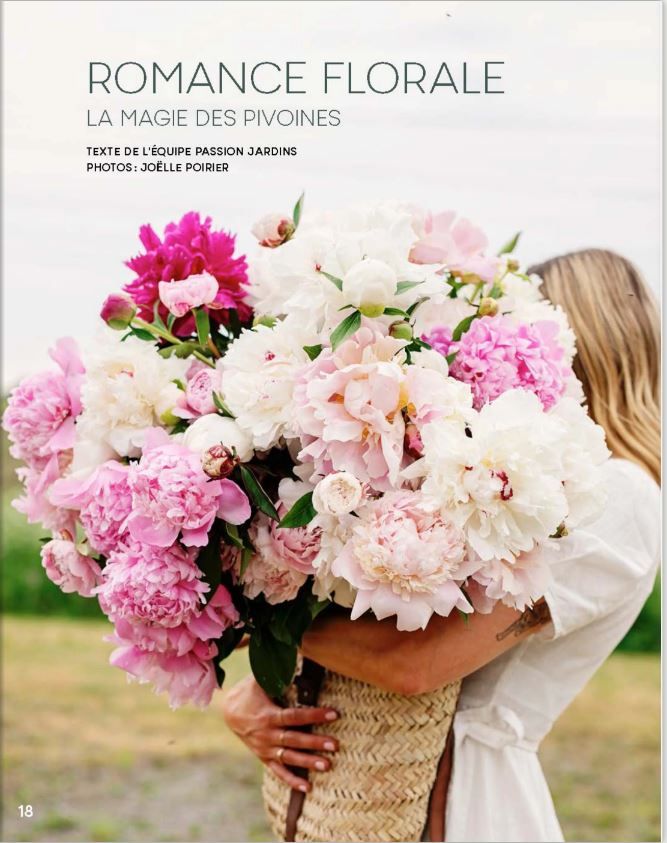 pivoine