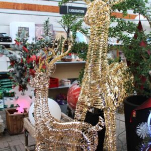 0.1 grand renne illuminé