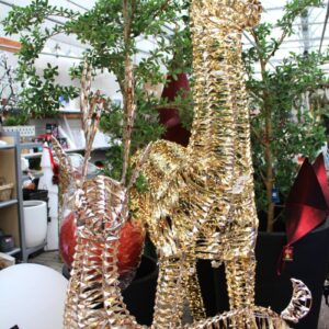 0.1 grand renne illuminé