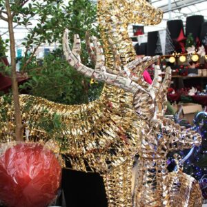 0.1 grand renne illuminé