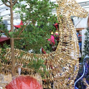 0.1 grand renne illuminé