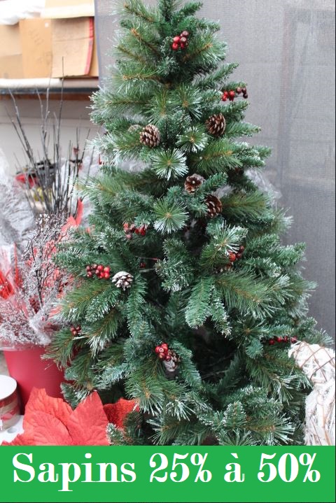 sapin2