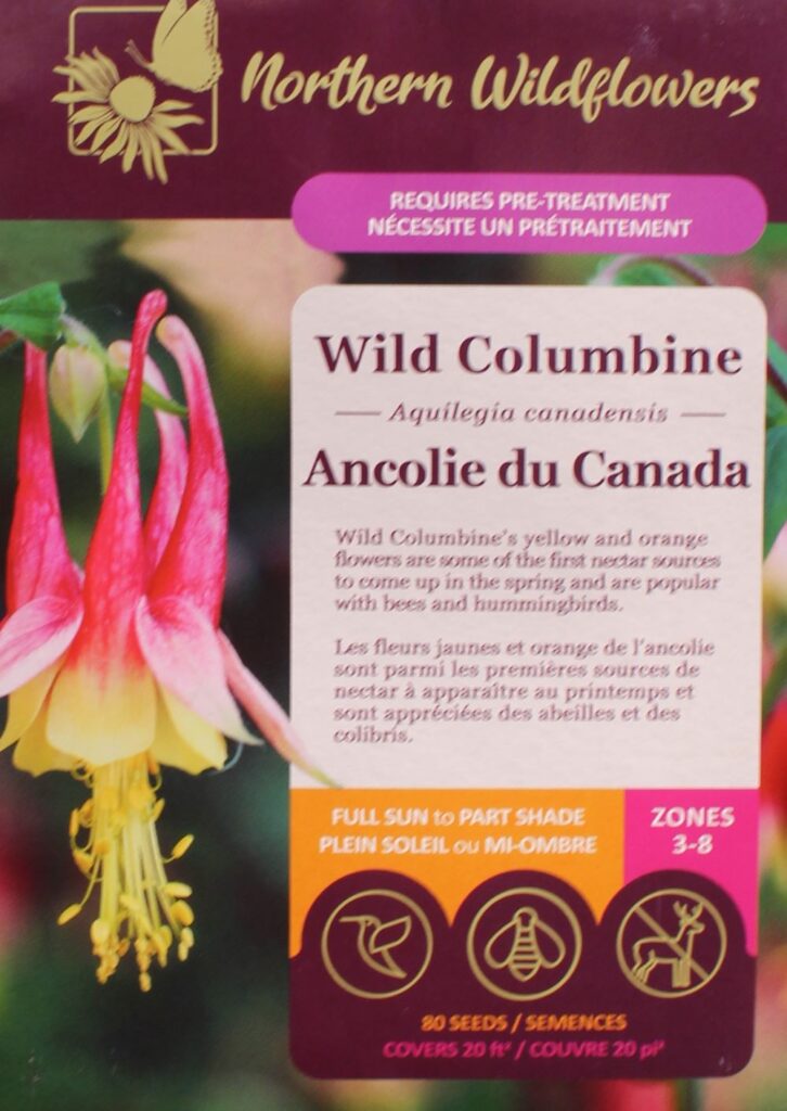 semence northern wildflowers2